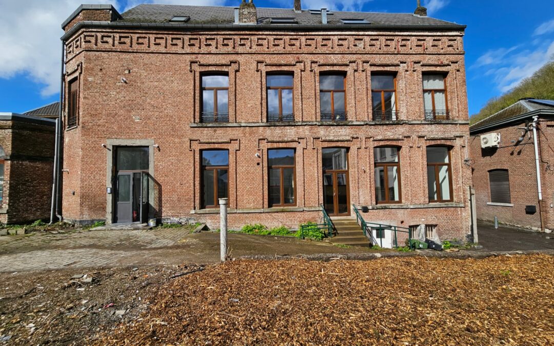 5 appartements rénovés à Huy